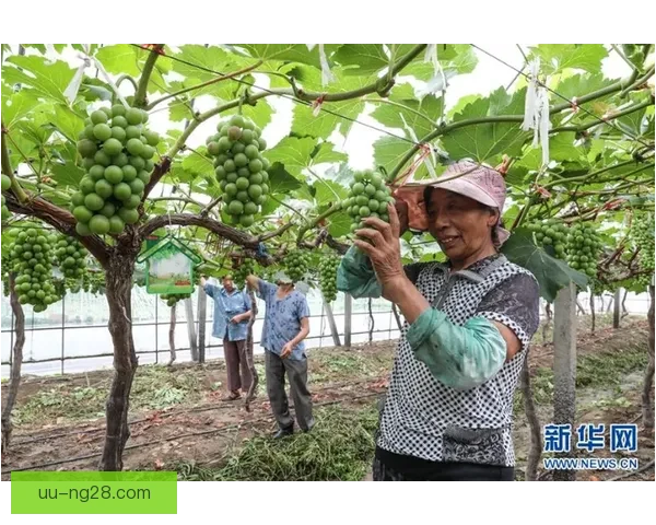 2026世界杯门票将采用可降解环保材质 助力赛事绿色发展 2026世界杯门票将采用可降解环保材质 助力赛事绿色发展